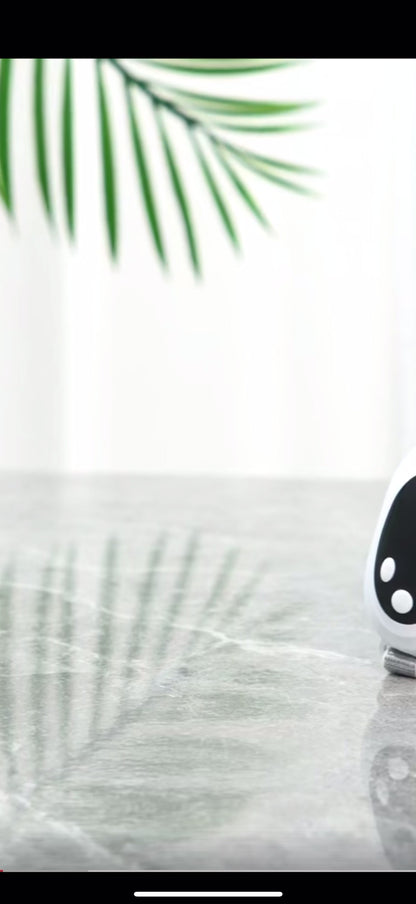 🌙 SleepEase™ – Il dispositivo naturale che aiuta a dormire in pochi minuti